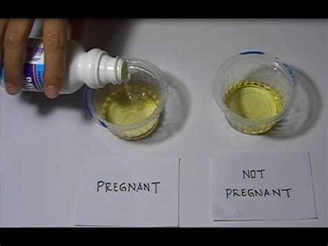 Boost Your SEO With A Positive Bleach Pregnancy Test Method.